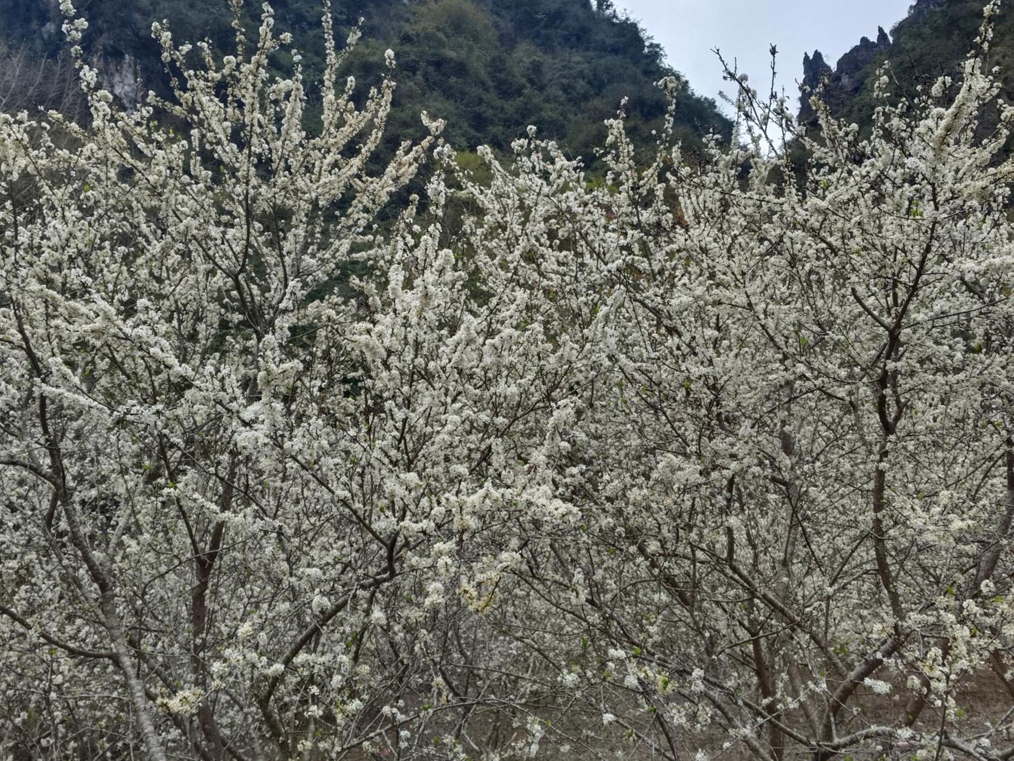 Quang Thuan Ban Gioc Homestay Cao Bang Kültér fotó
